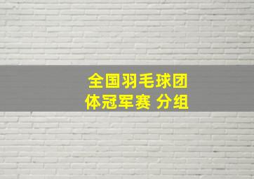 全国羽毛球团体冠军赛 分组